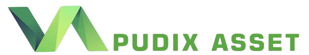 pudix-asset.org